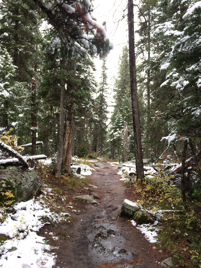 Family Visit to Grand Teton National Park