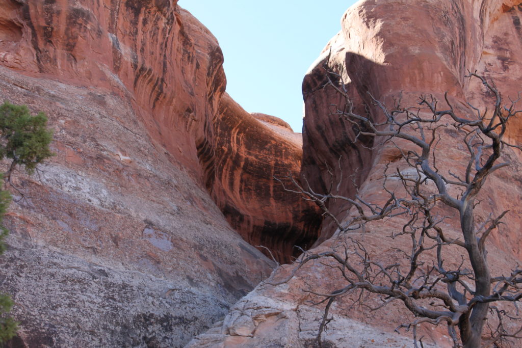 family Visit to Arches National Park and Moab, UT