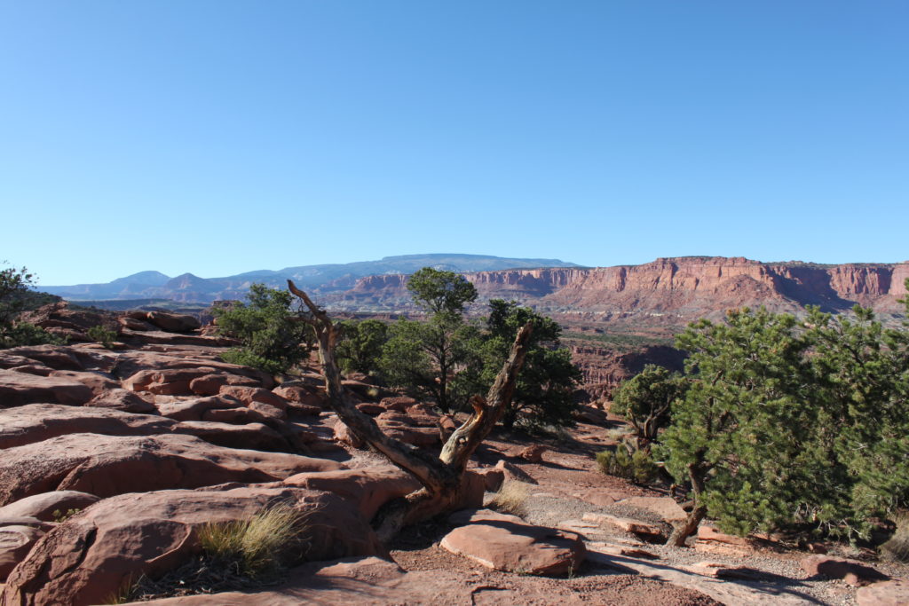 Family visit to Capitol Reef National Park 