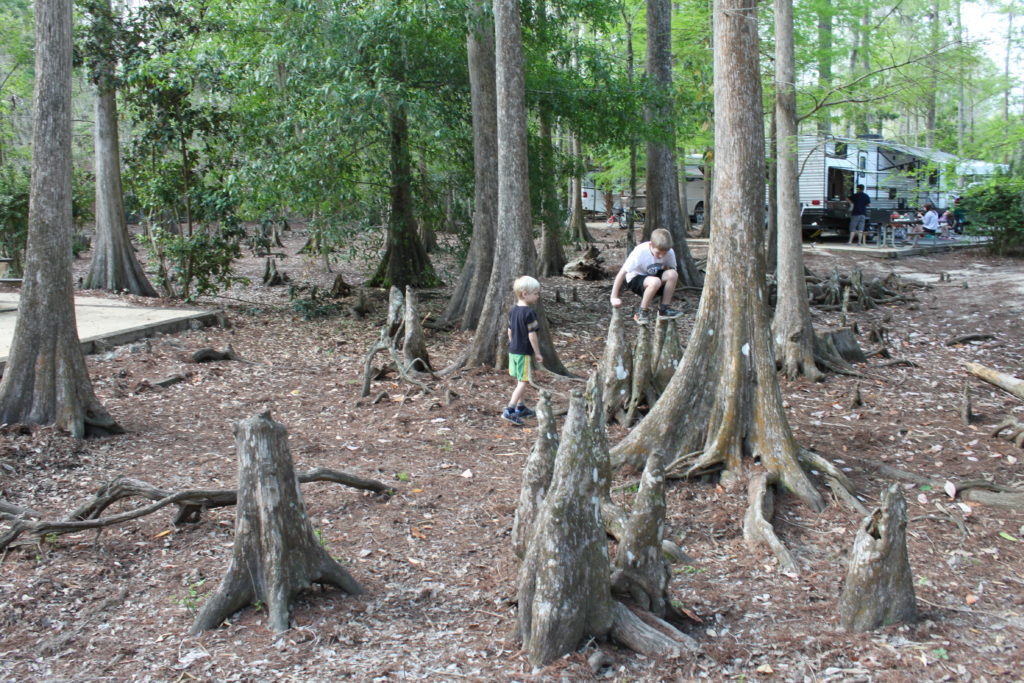 Fort Wilderness Disney Camping