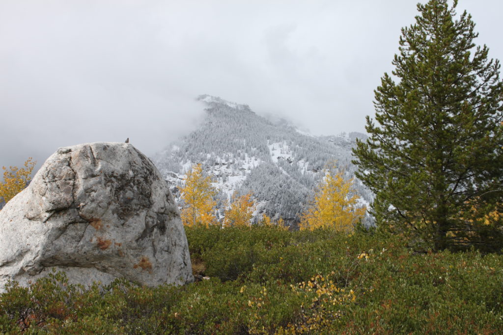 Grand Teton National Park