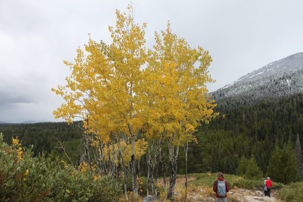 Family Visit to Grand Teton National Park