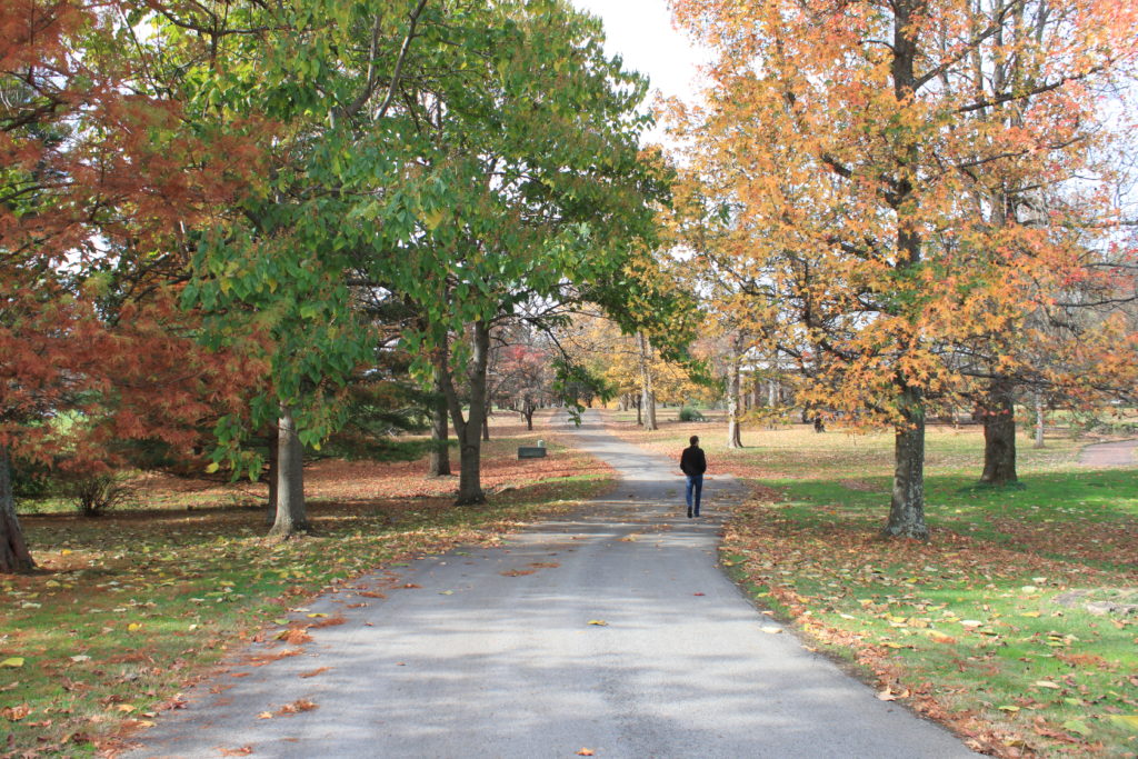 Kentucky Bourbon Trail 