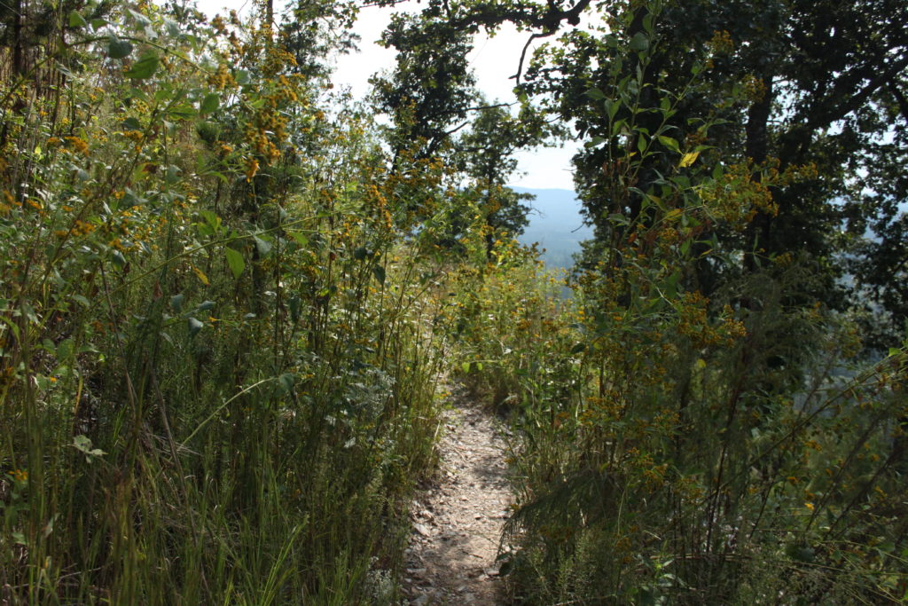 Morrow Mountain NC Hiking