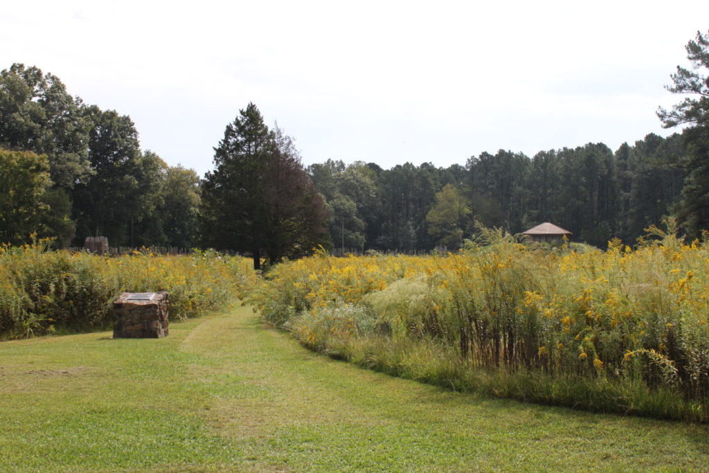 Town Creek Indian Mound NC