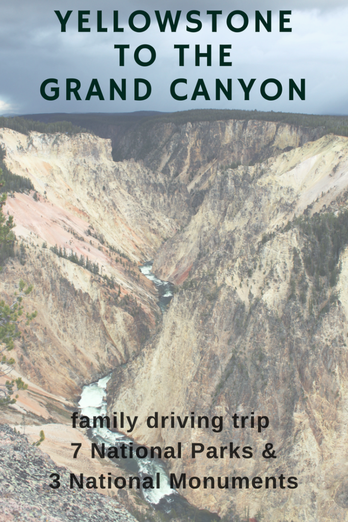 Yellowstone to the Grand canyon family driving trip