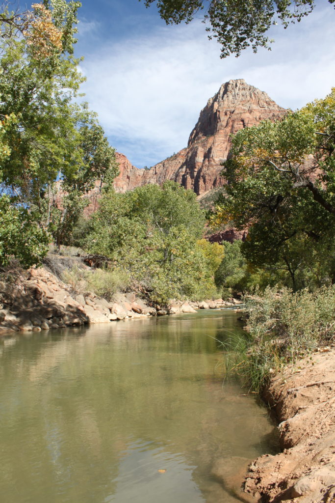 Family Visit to Zion National Park