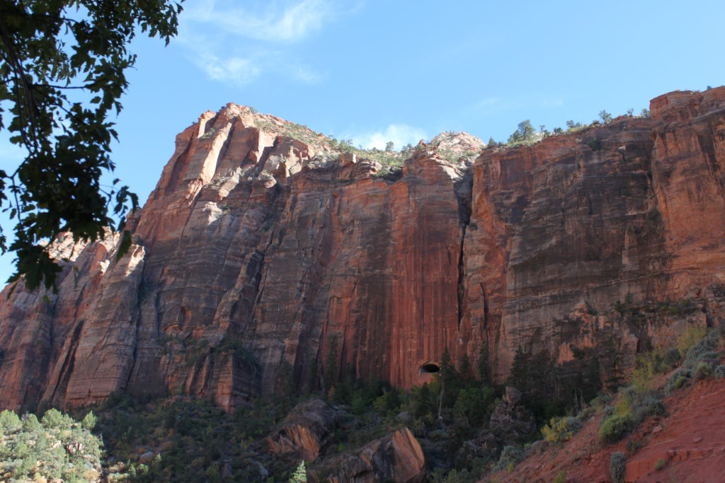Family Visit to Zion National Park