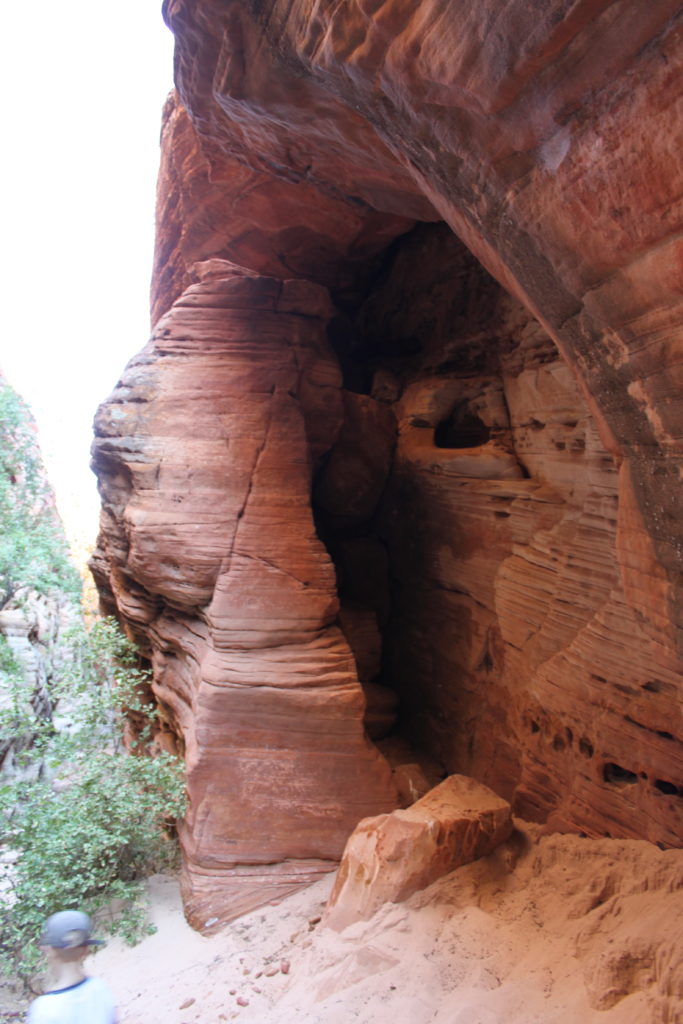 Family Visit to Zion National Park