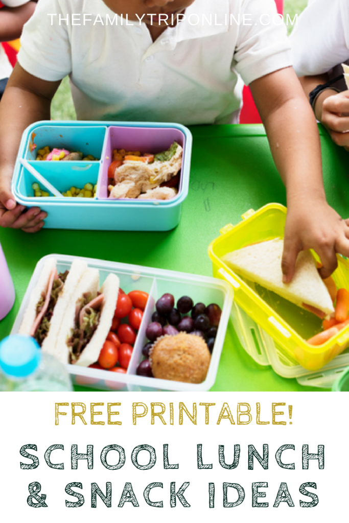 School Lunch and Snack Ideas for Kids
