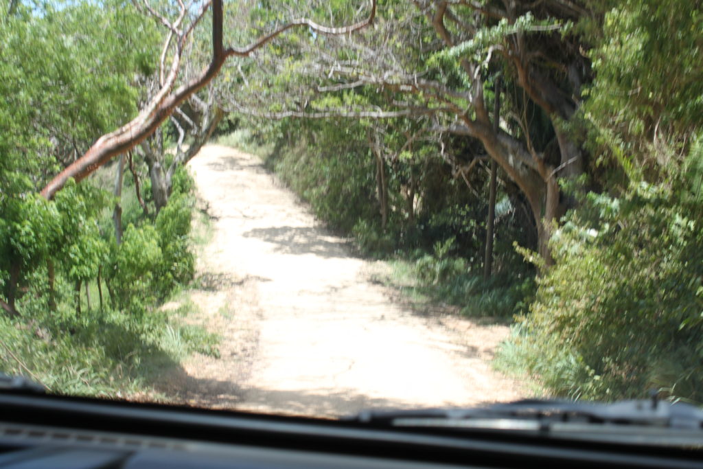 East End Roatan Honduras