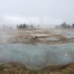 Family Trip to Yellowstone National Park