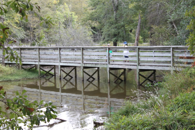 Morrow Mountain State Park and Town Creek Indian Mound