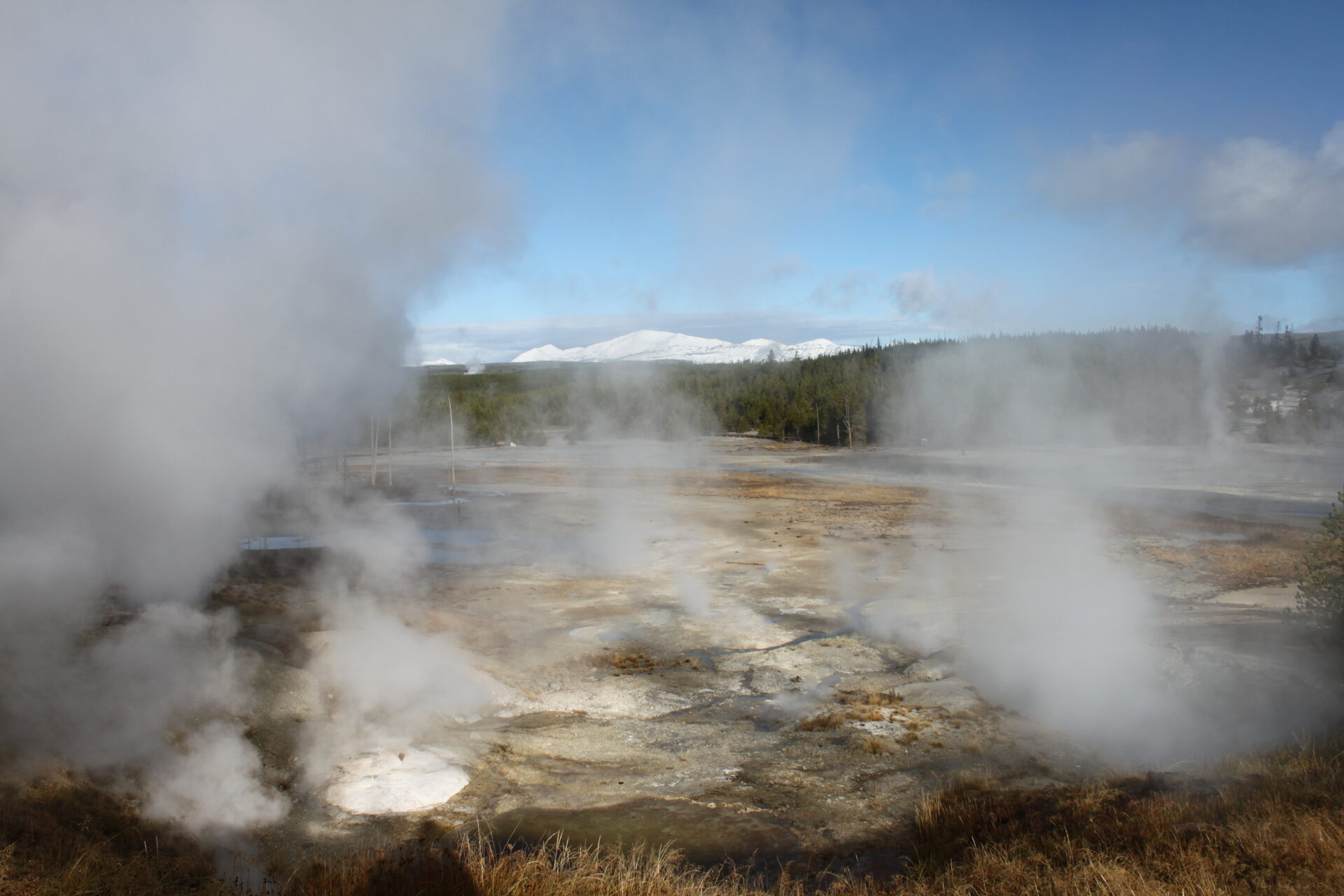 A Family Visit to Yellowstone National Park | Visiting Yellowstone with ...