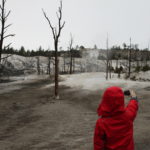 Family Visit to Yellowstone National Park