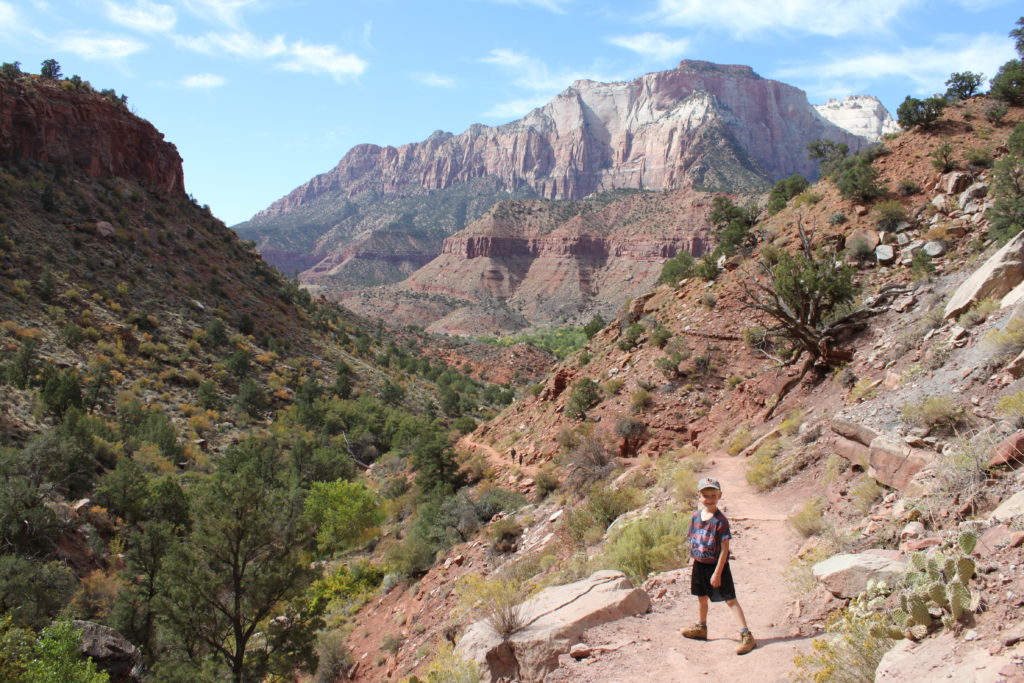 family zion trip