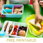 School Lunch and Snack Ideas for Kids