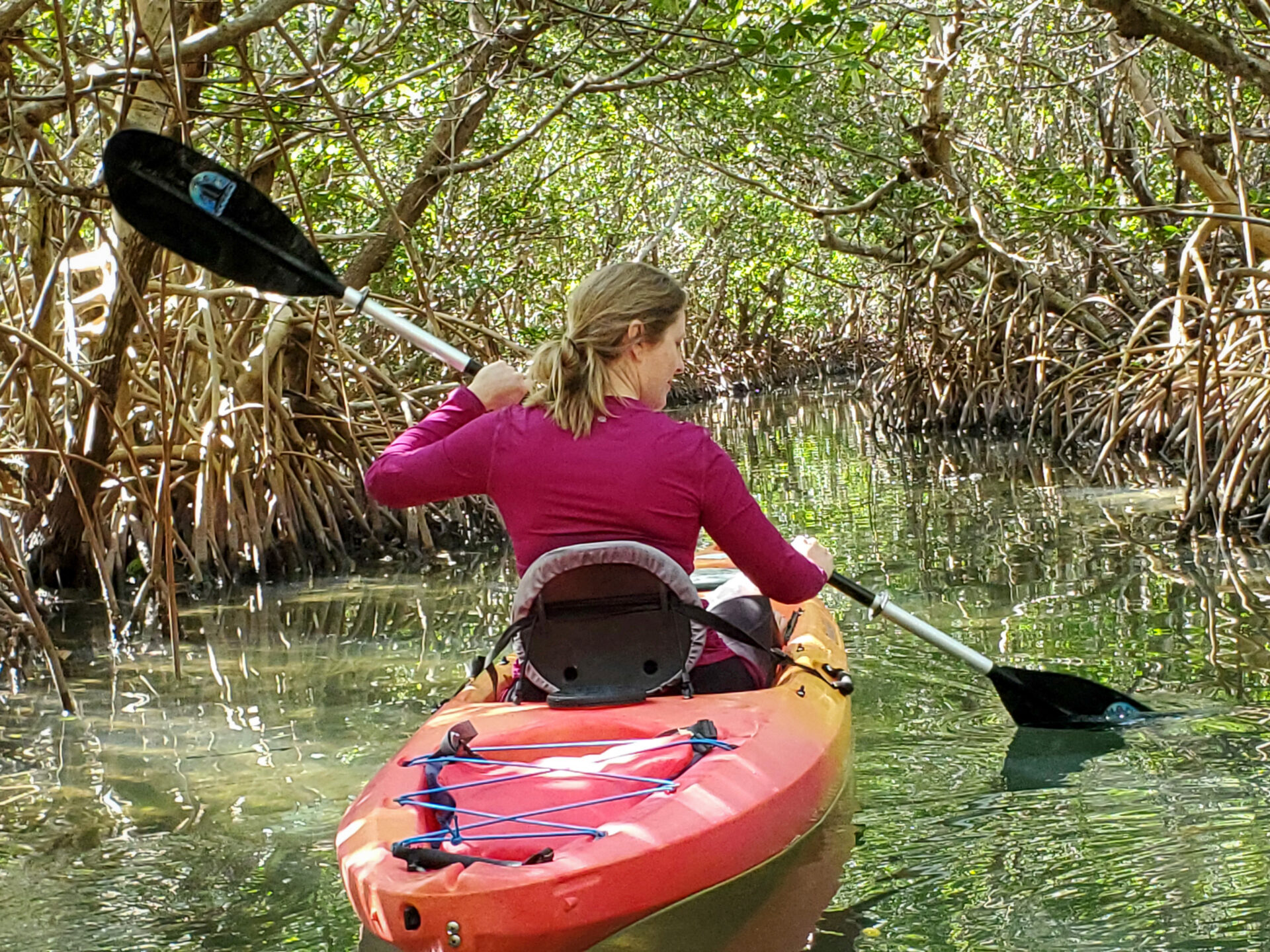 Kayaking Southwest Florida Fort Myers Captiva Island