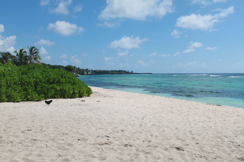 Spotts beach Grand Cayman