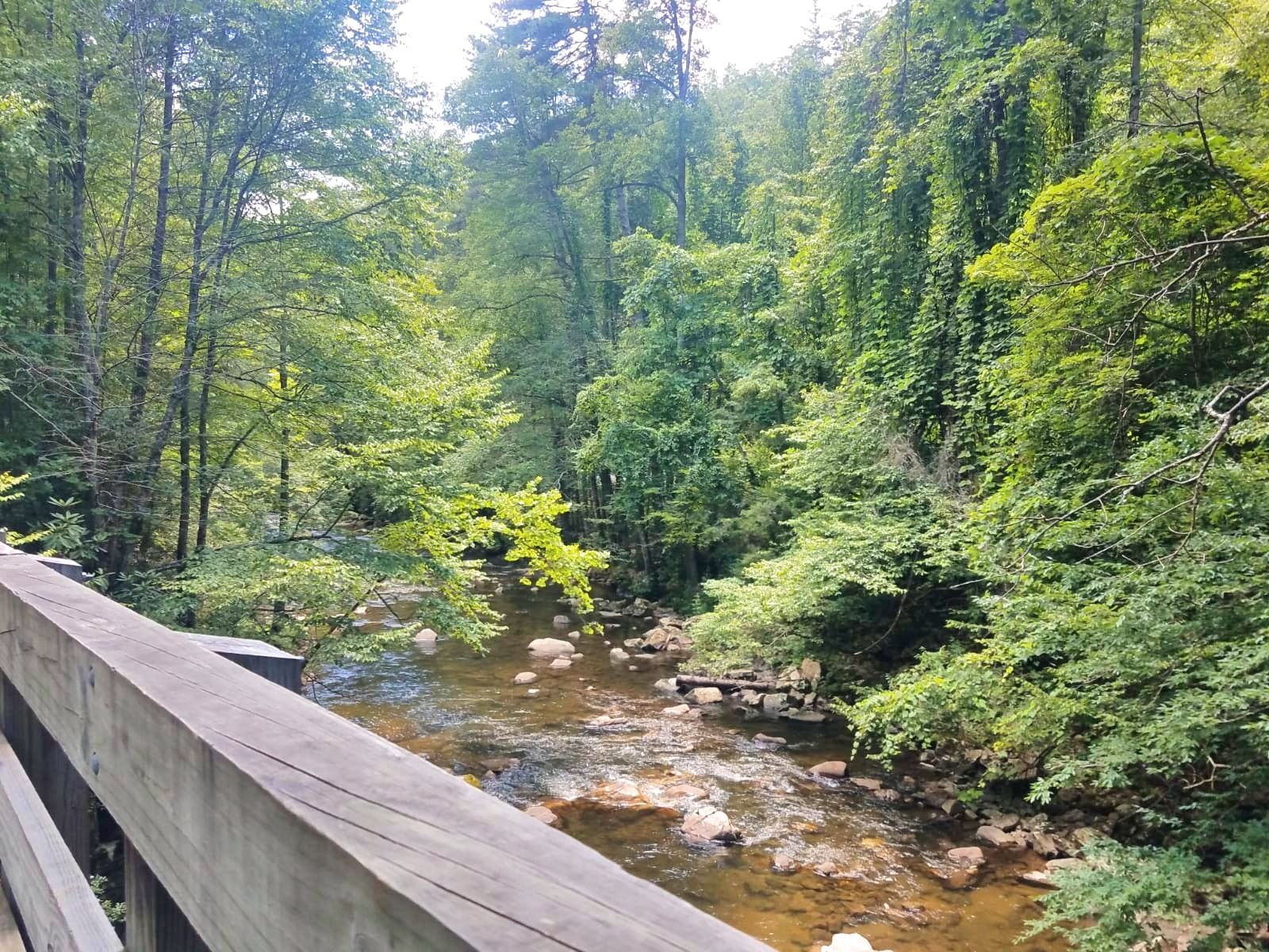 Tips for a Family Trip on the Virginia Creeper Trail