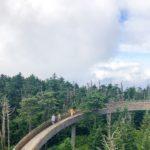 Clingmans Dome Smoky Mountains 3