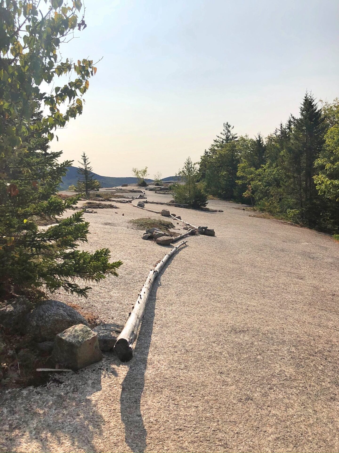 Welch Dickey Loop White Mountains New Hampshire