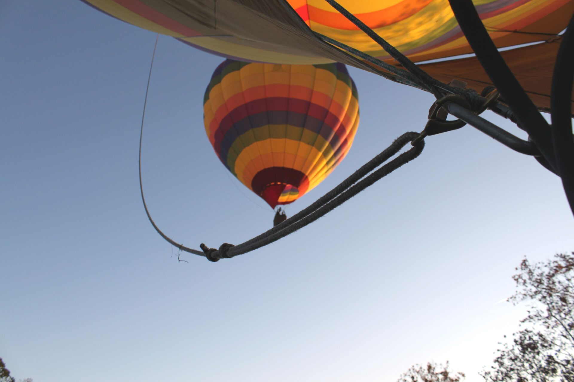 Hot Air Balloon Ride Over Charlottesville