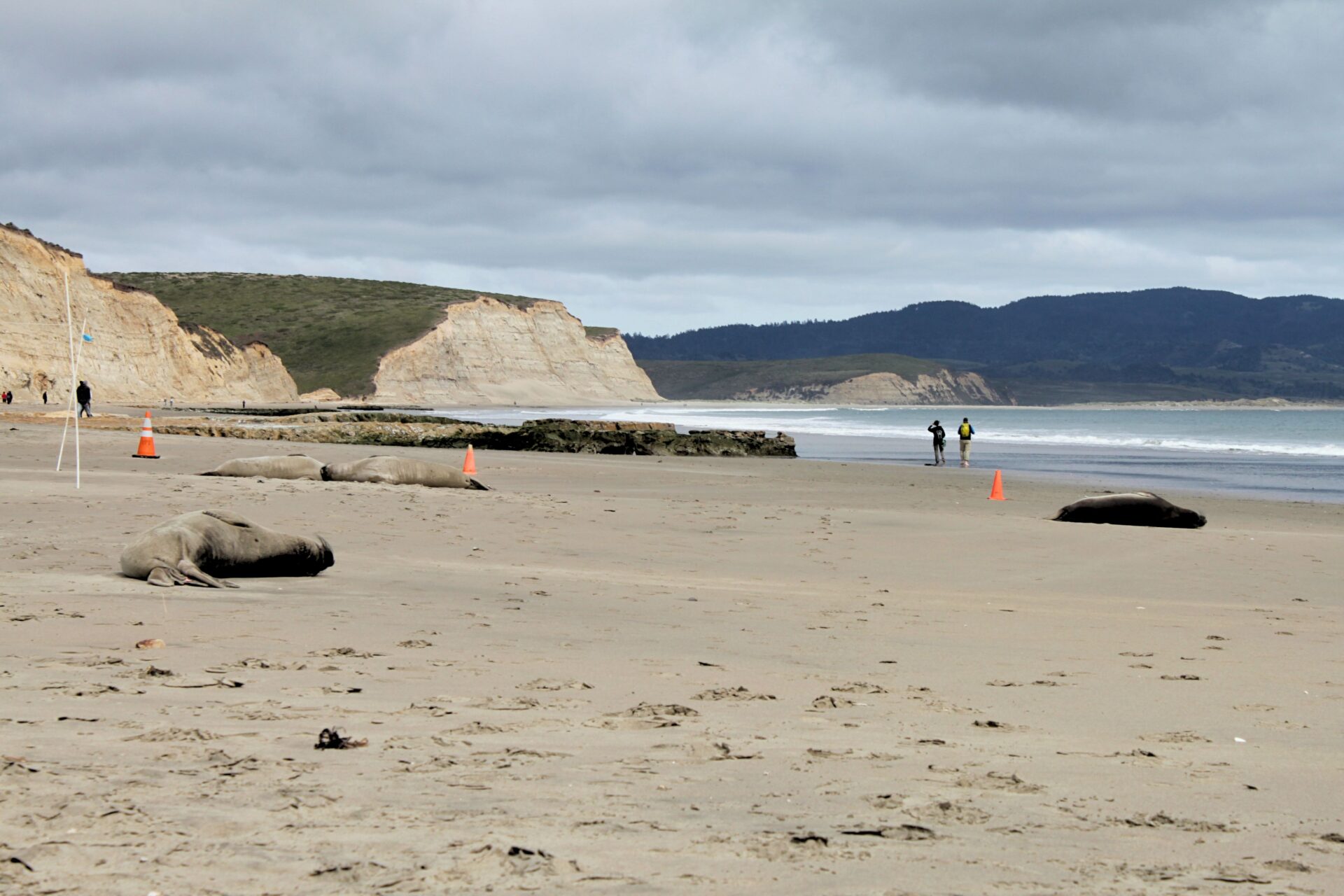 Point Reyes National Seashore: Fun at the End of the World