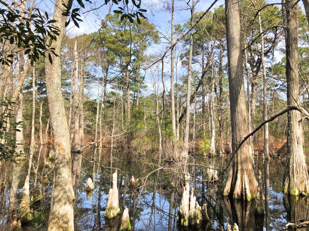 First Landing State Park VA