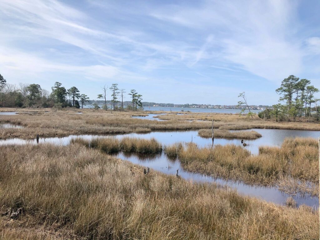 First Landing State Park VA