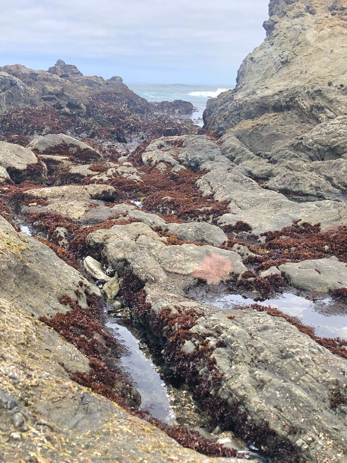 Glass Beach Fort Bragg