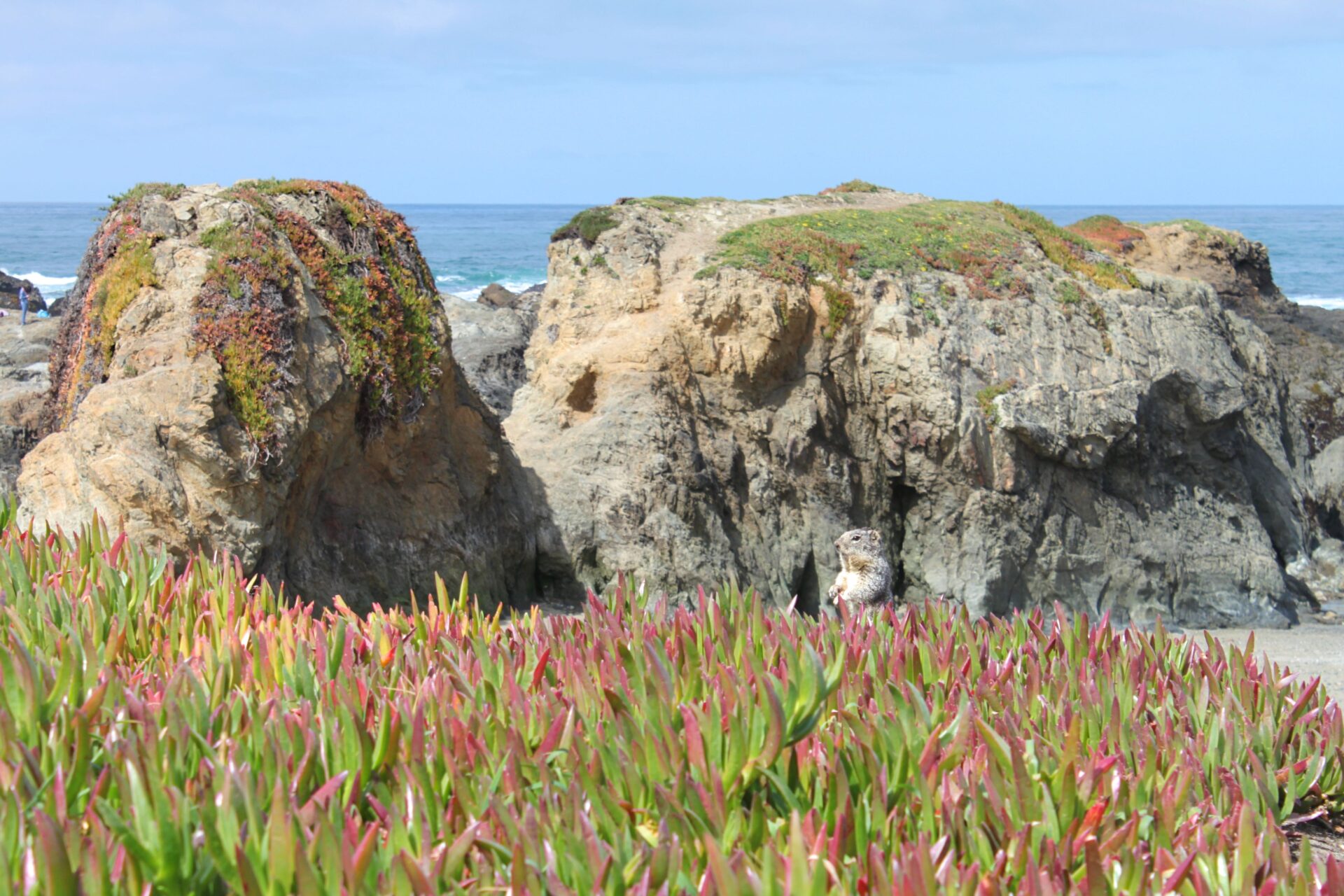 Glass Beach Fort Bragg