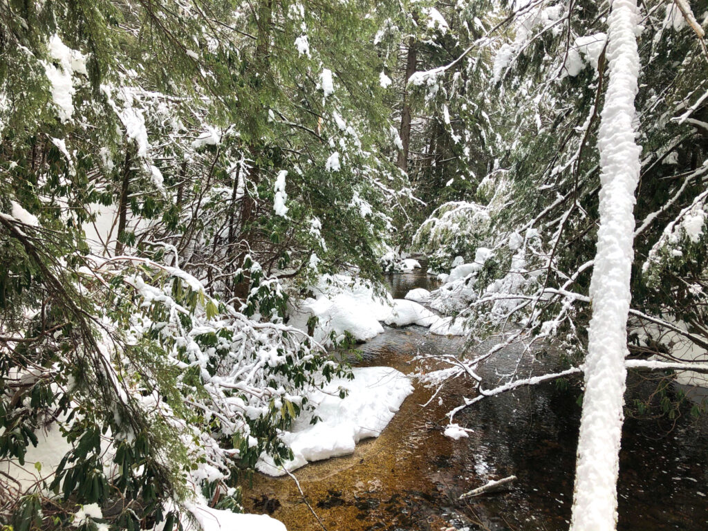 Canaan Valley with Kids