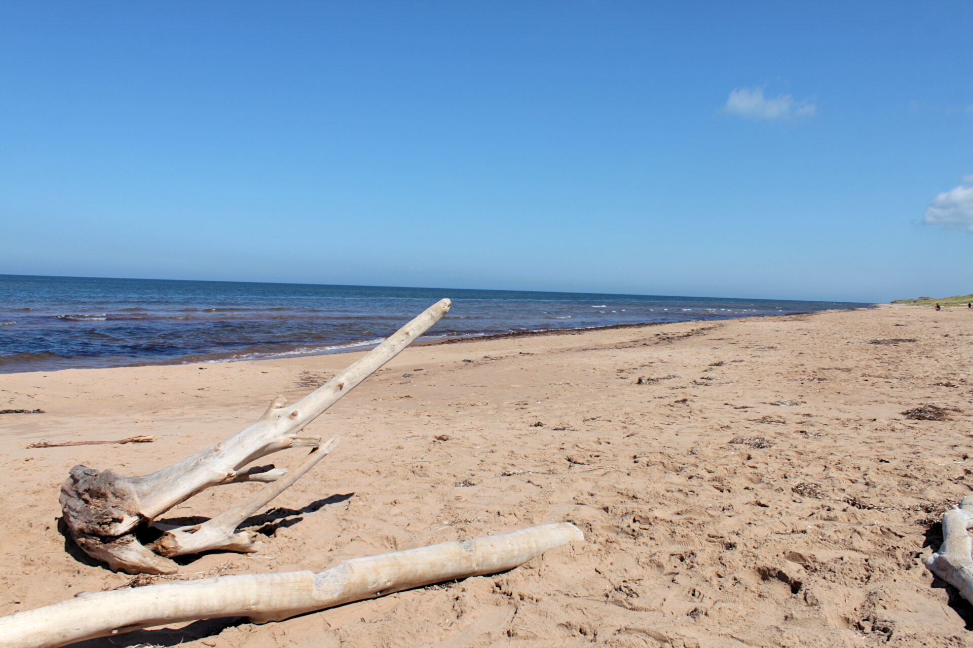 things to do and see on Prince Edward Island