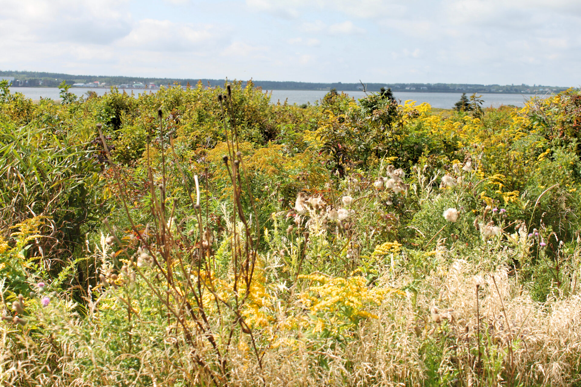 what to do on Prince Edward Island