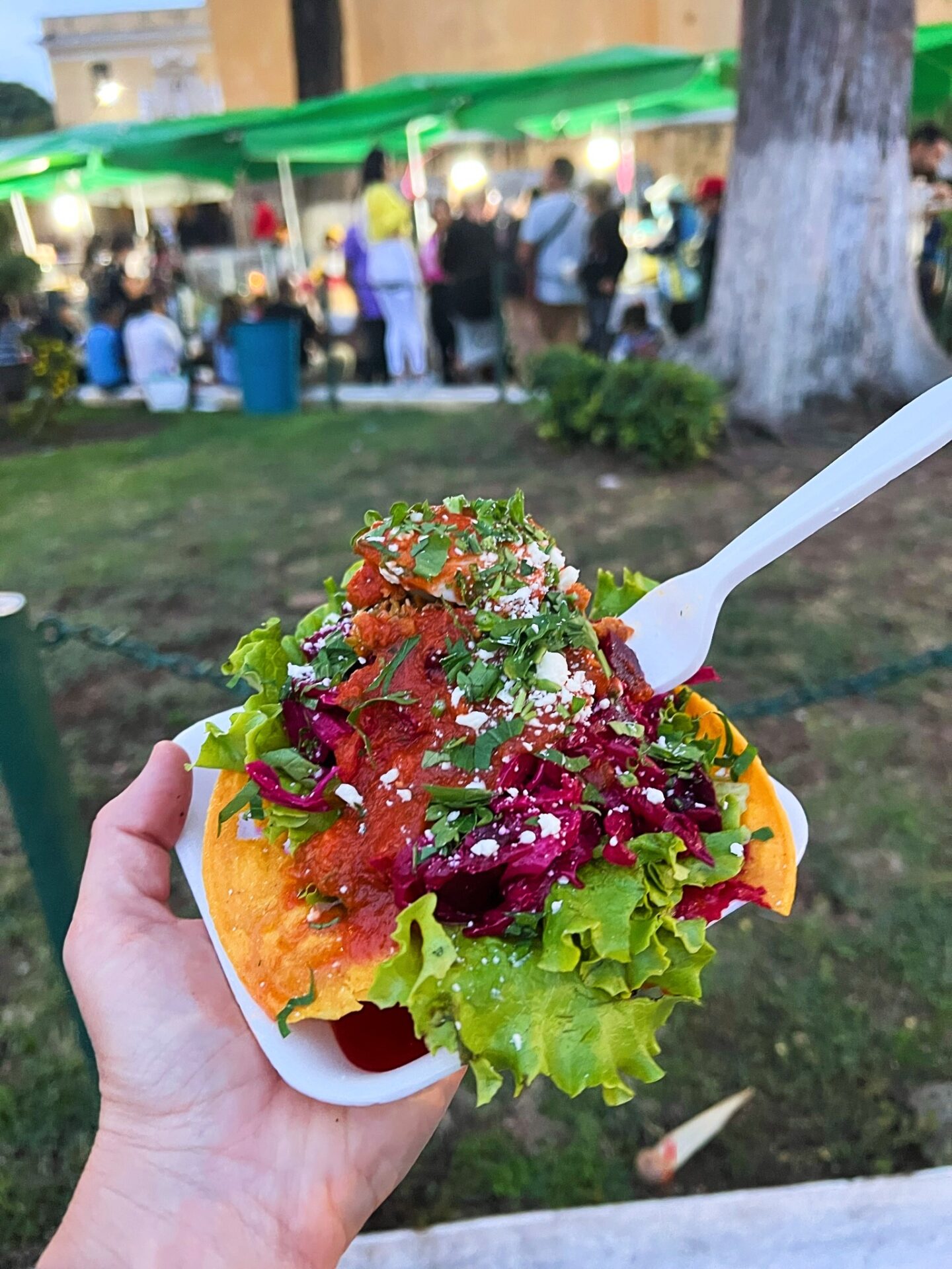 Best Places to Eat & Drink in Antigua Guatemala The Family Trip