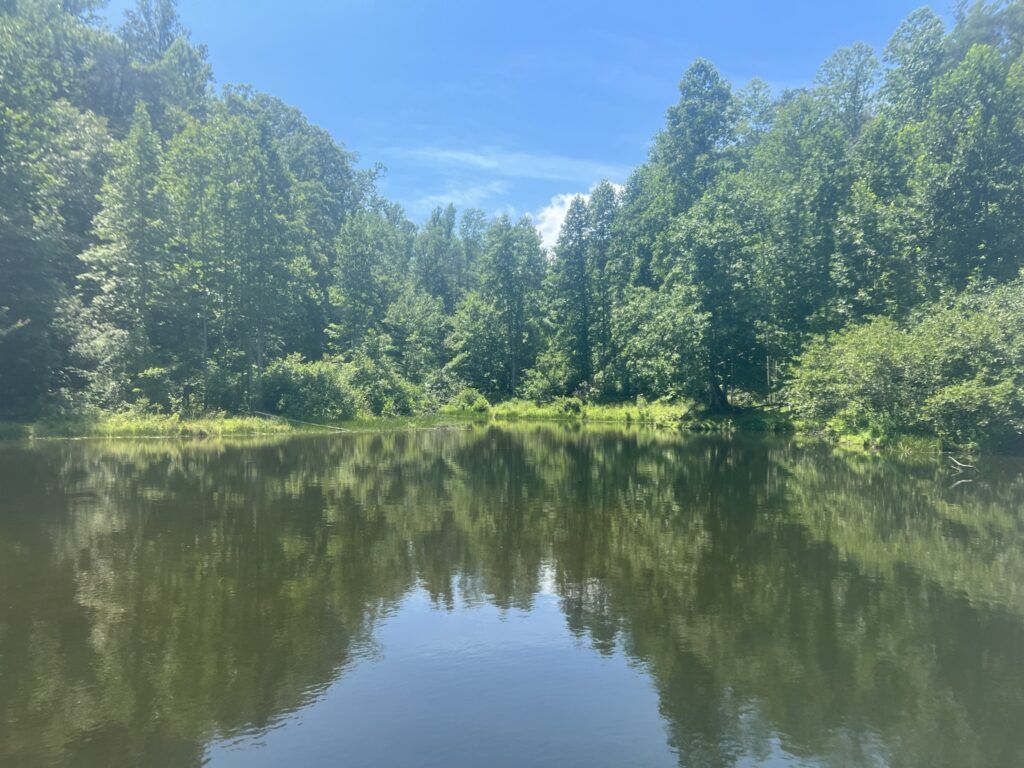 Standup Paddleboard Walnut Creek Charlottesville VA