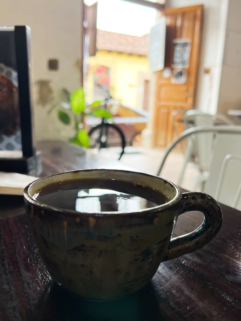 Fat Cat Coffee Antigua Guatemala