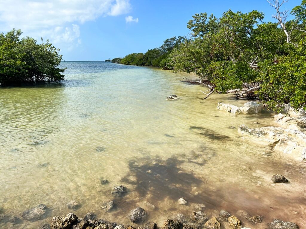 Annes Beach Islamorada