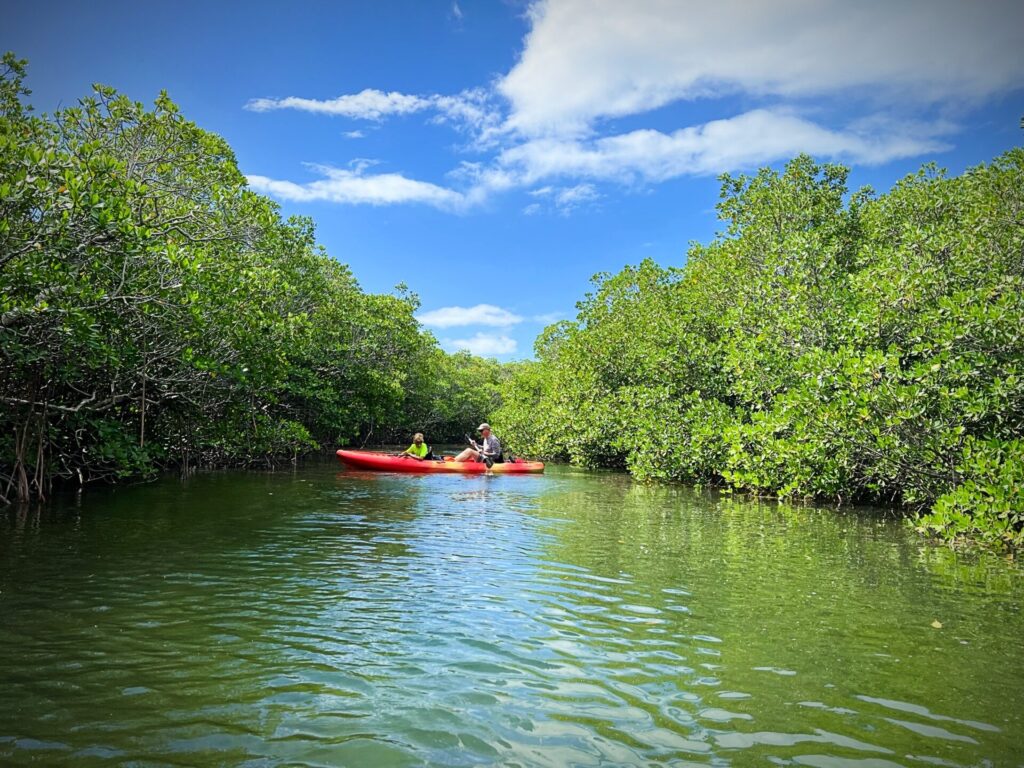 Islamorada kayaking