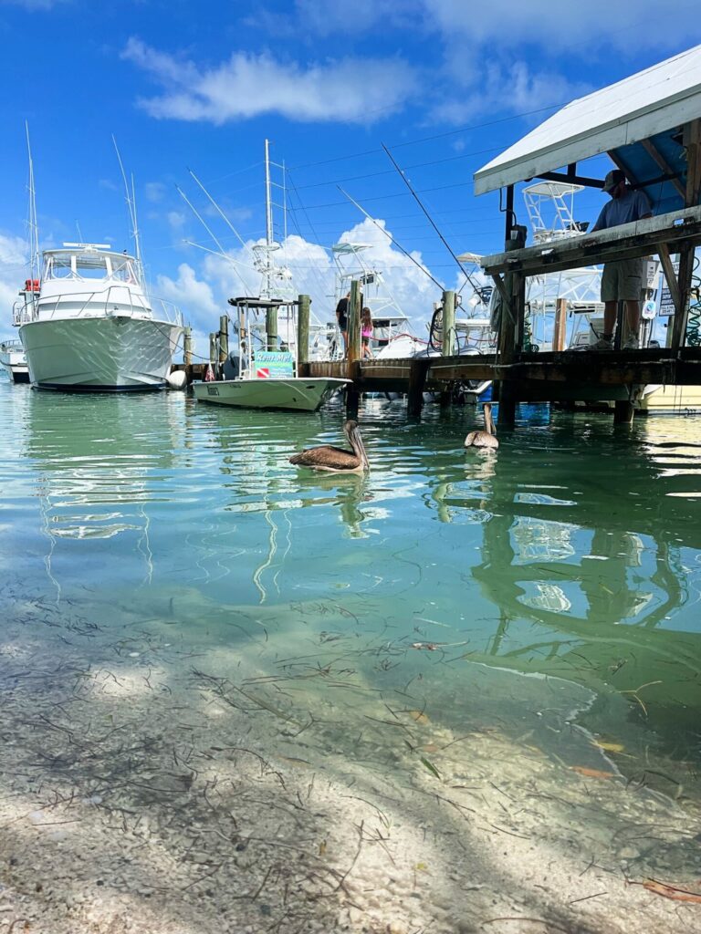 Robbies of Islamorada