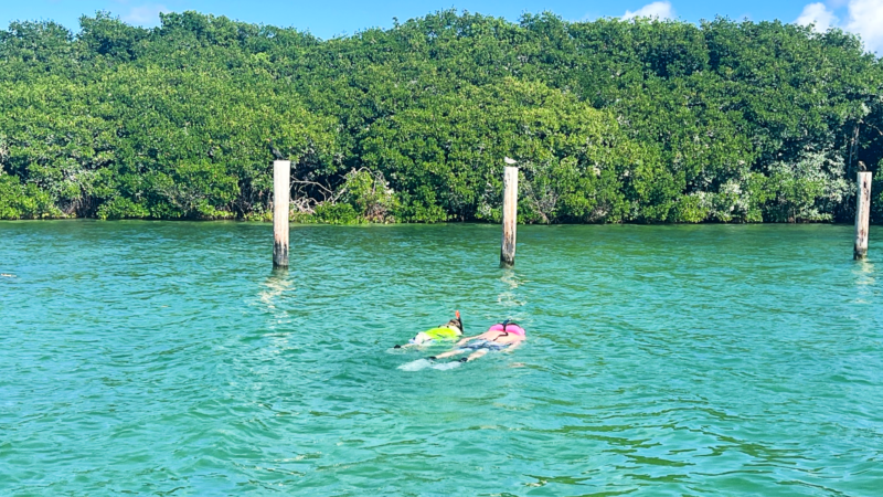 Biscayne National Park with Kids