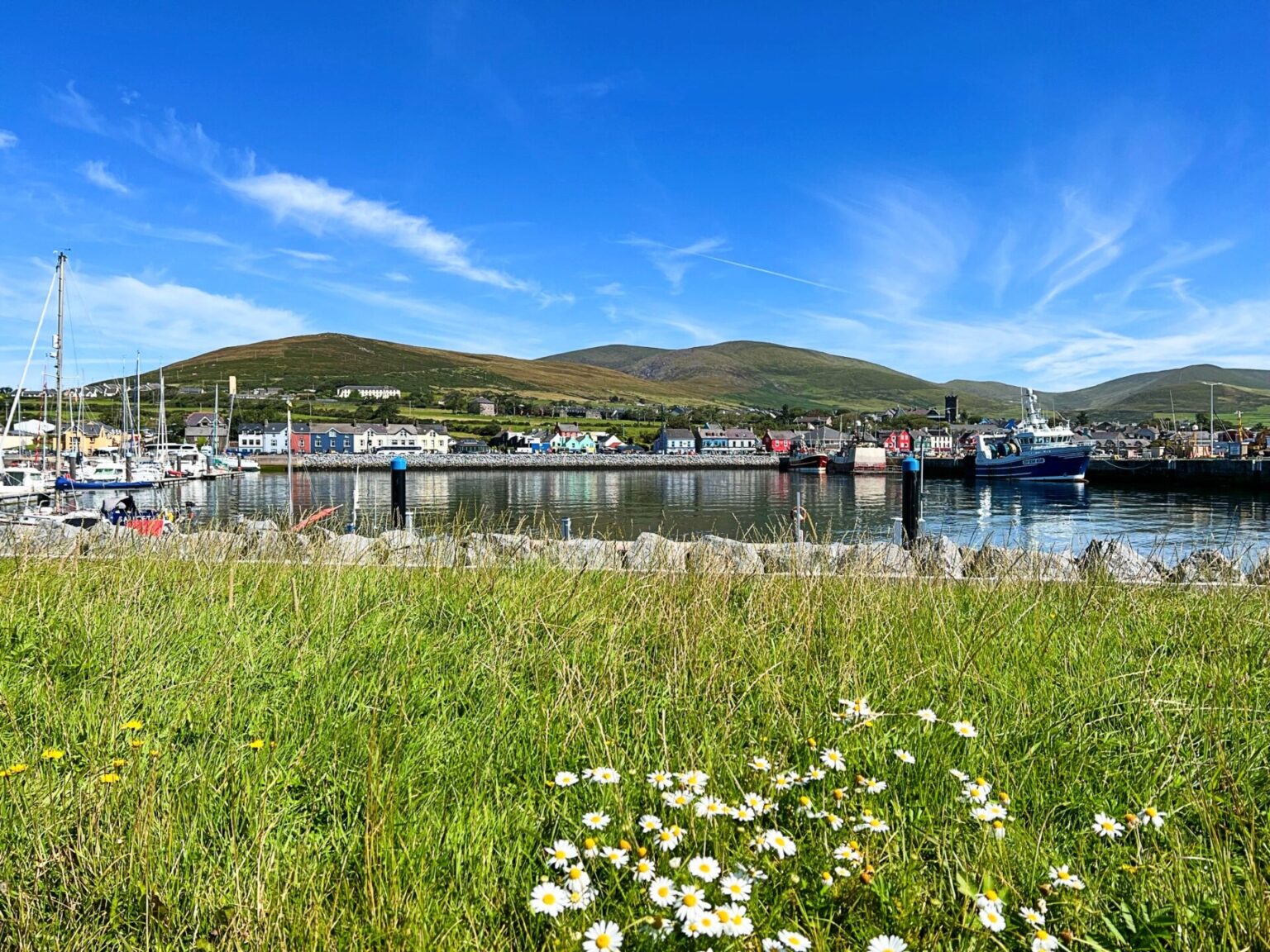 Ring of Kerry or Dingle Peninsula? Here's Why We Did the Dingle ...