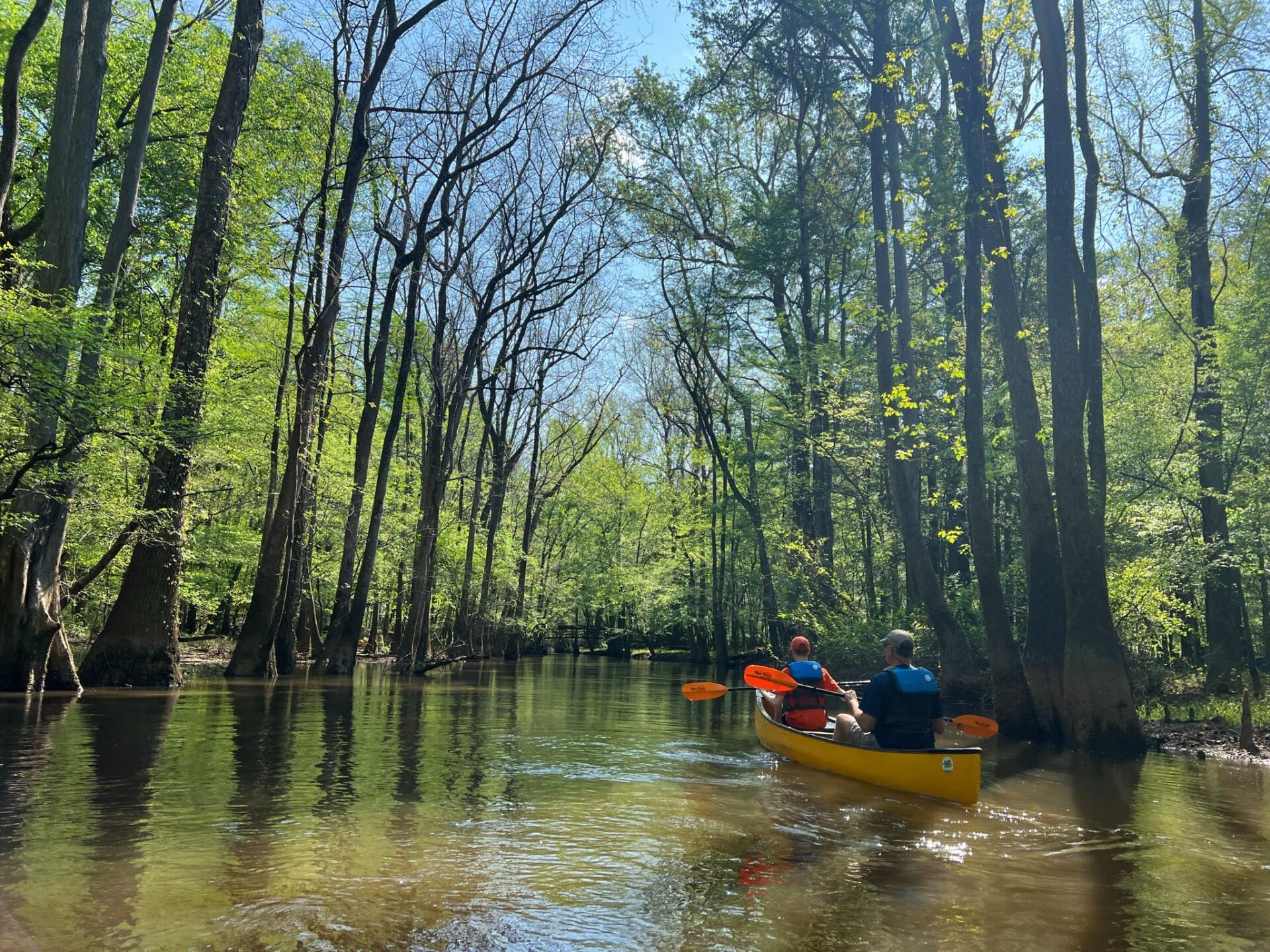 Visiting Congaree National Park:  Which Parks are “Worth” it?