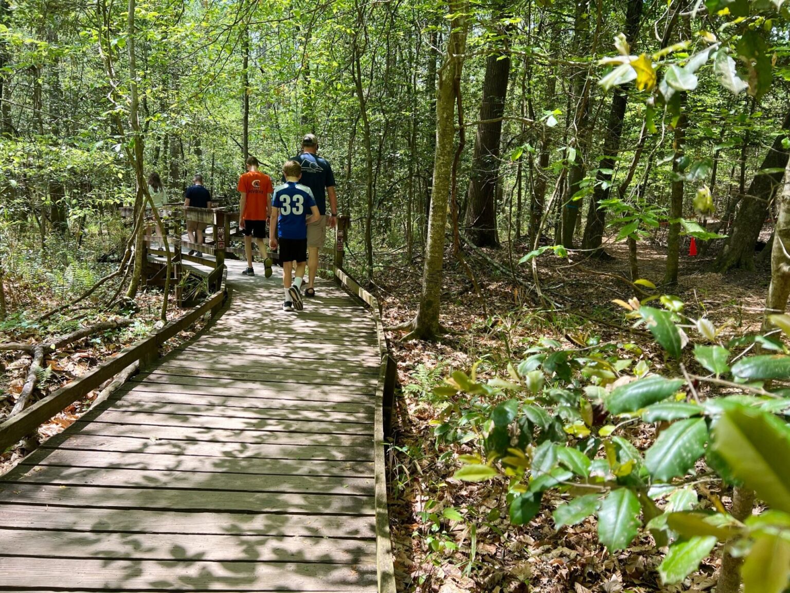 Visiting Congaree National Park: Which Parks are 