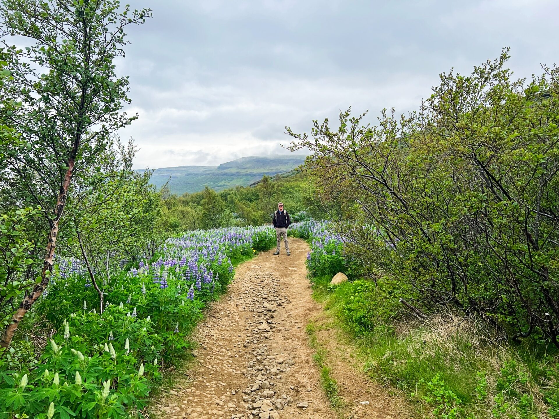 Hiking Glymur Waterfall in Iceland: What to Know - The Family Trip