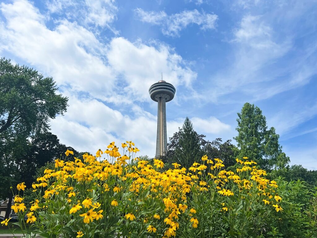 Dining Skylon Tower Niagara Falls