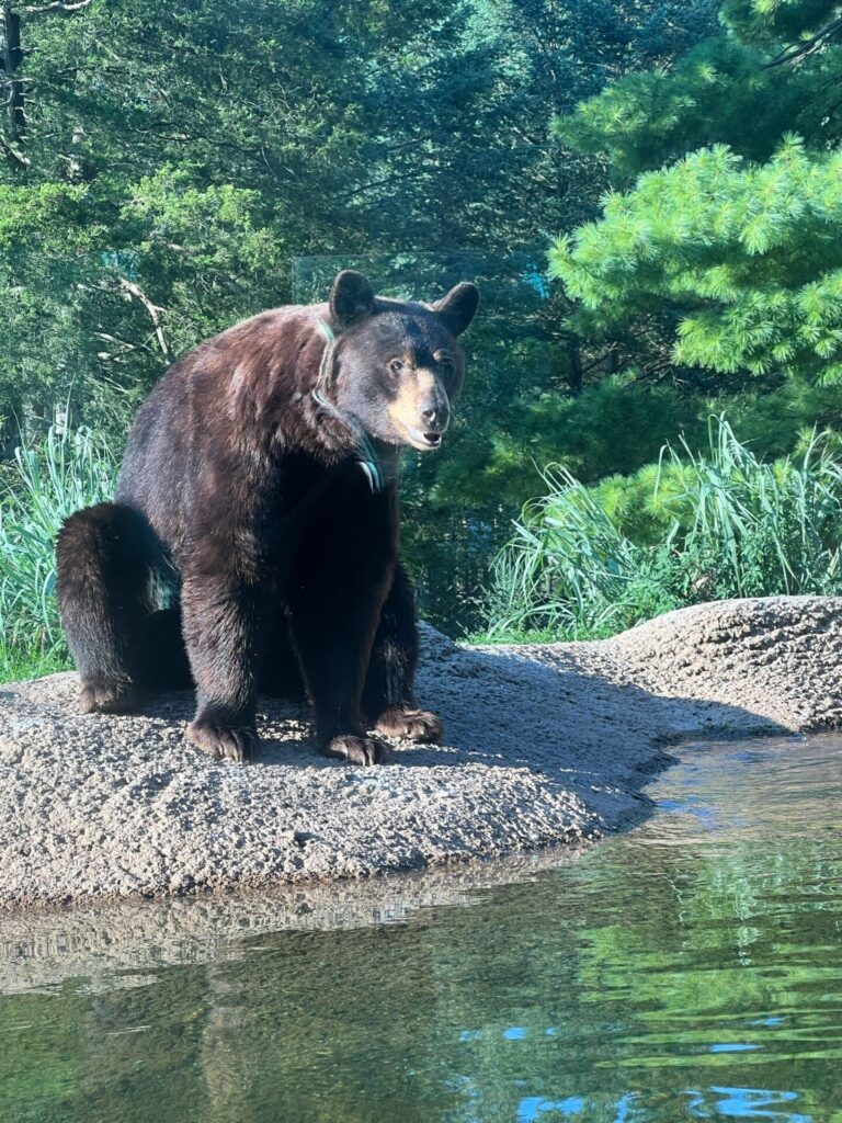 Visiting the Hersheypark Zoo