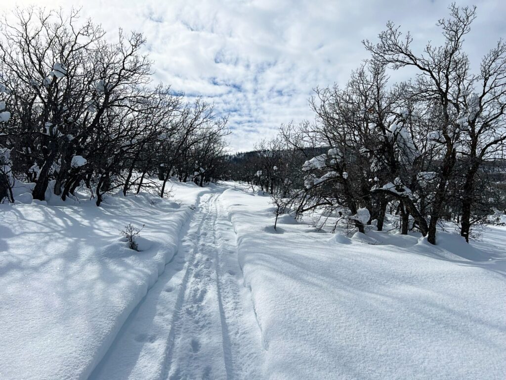 Outdoor activities winter Steamboat Springs CO