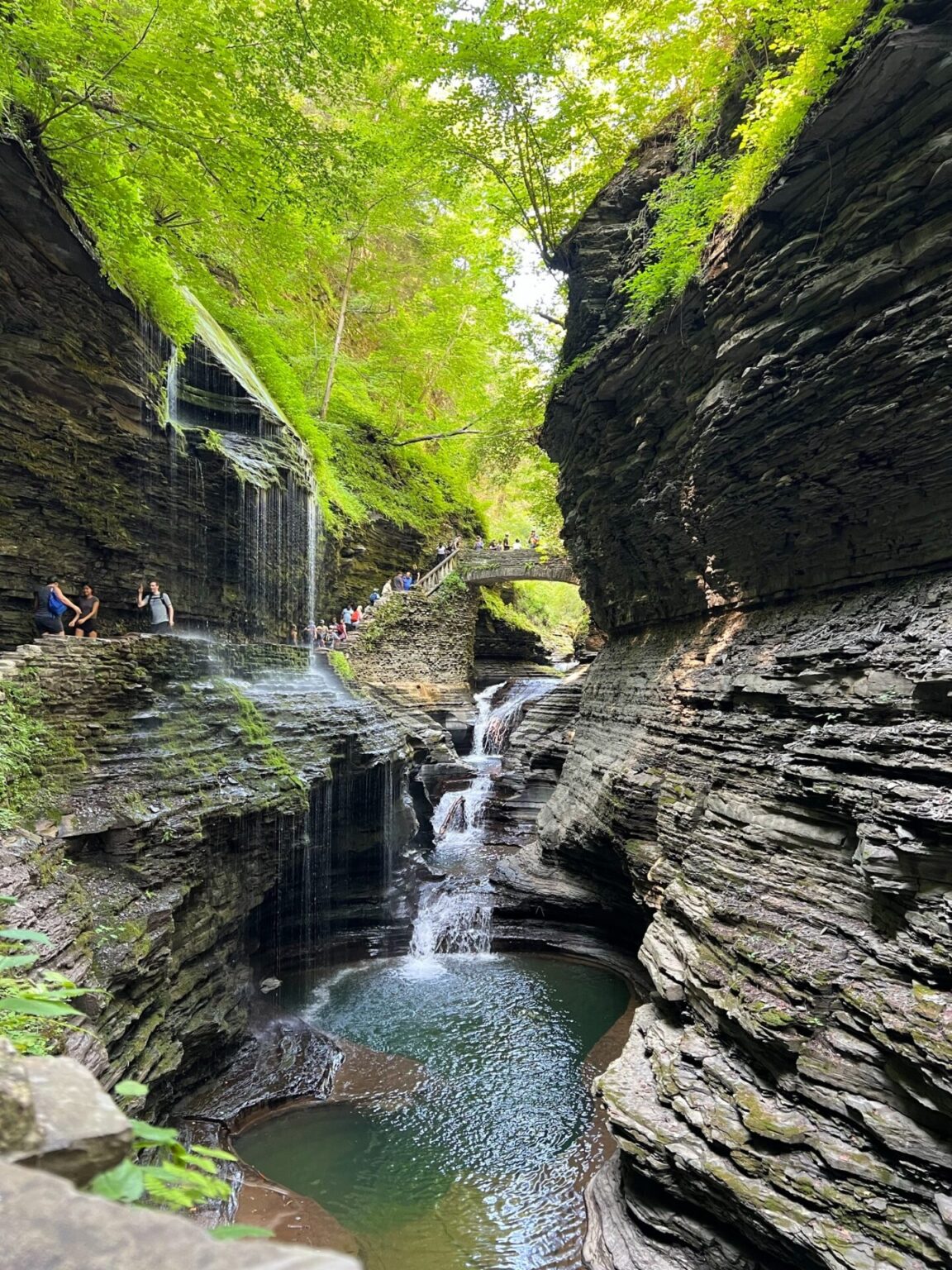 About Watkins Glen, New York (It's GORGEous!) - The Family Trip